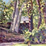 Dappled Light through the Beech Trees, Swindon Old Town Gardens, oils, 6x8 ins.