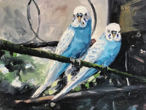 SW05 Budgies in the Aviary, Swindon Old Town Gardens, 8x10 ins, oils on MDF panel. Two blue budgies in the Aviary at Swindon Old Town Gardens.